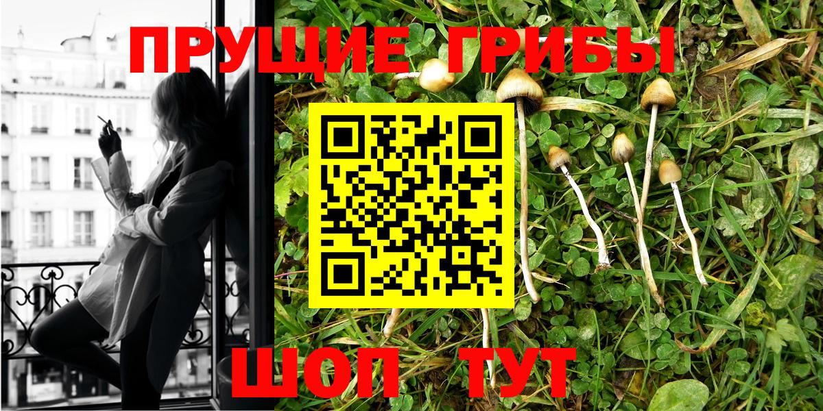 Галлюциногенные грибы Psilocybine cubensis Ртищево